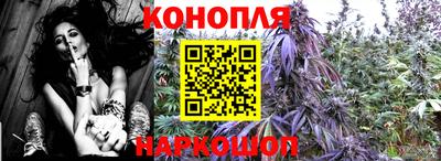 mdpv Краснодар