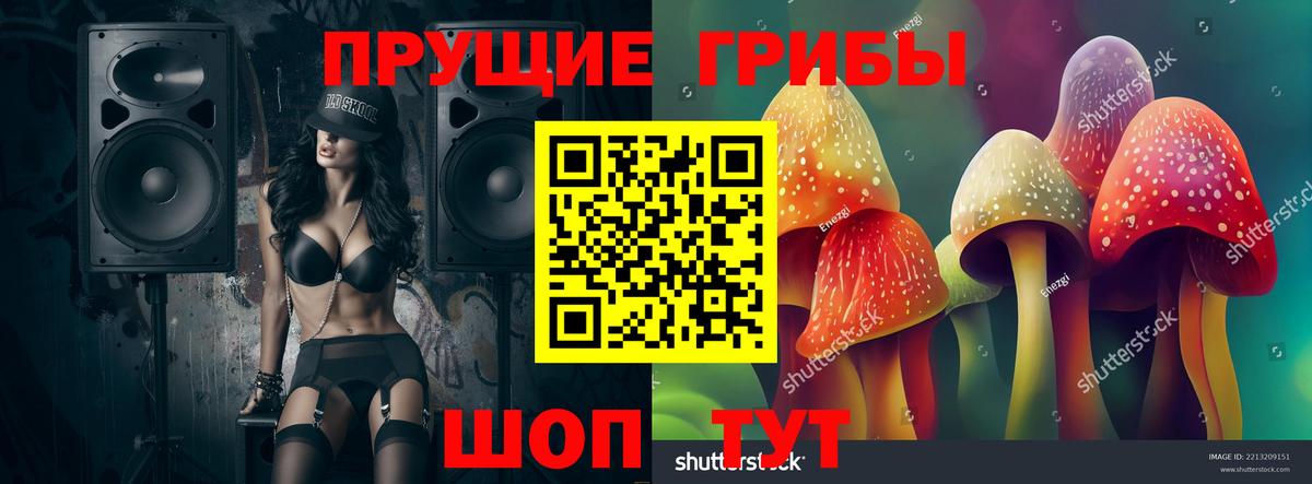 Псилоцибиновые грибы мицелий Волоколамск