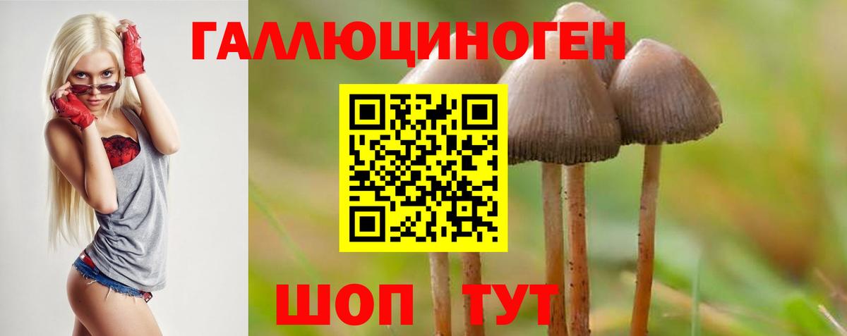 Волоколамск  Псилоцибиновые грибы Psilocybine cubensis  Псилоцибиновые грибы ЛСД  Вход с VPN 